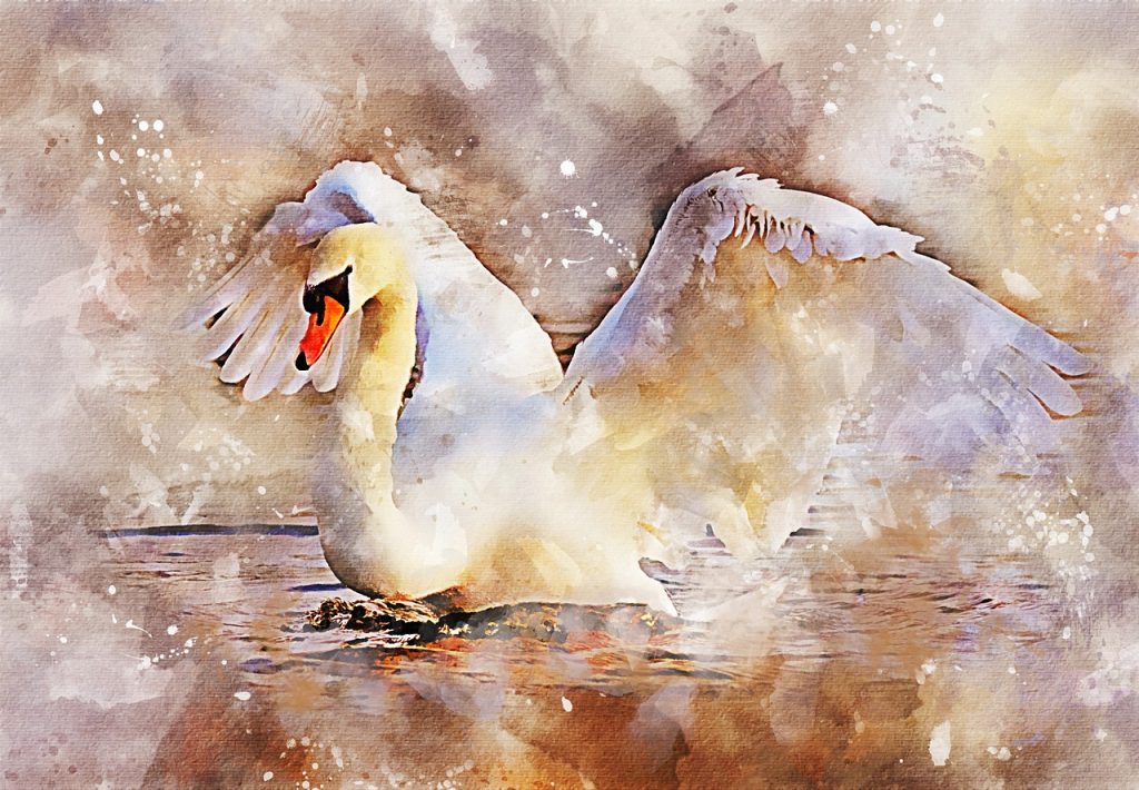 swan, wings, bird, grace, fantasy, water, spray, close-up, watercolor, nature, digital painting, digital art
